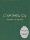 At Blackwater Pond
